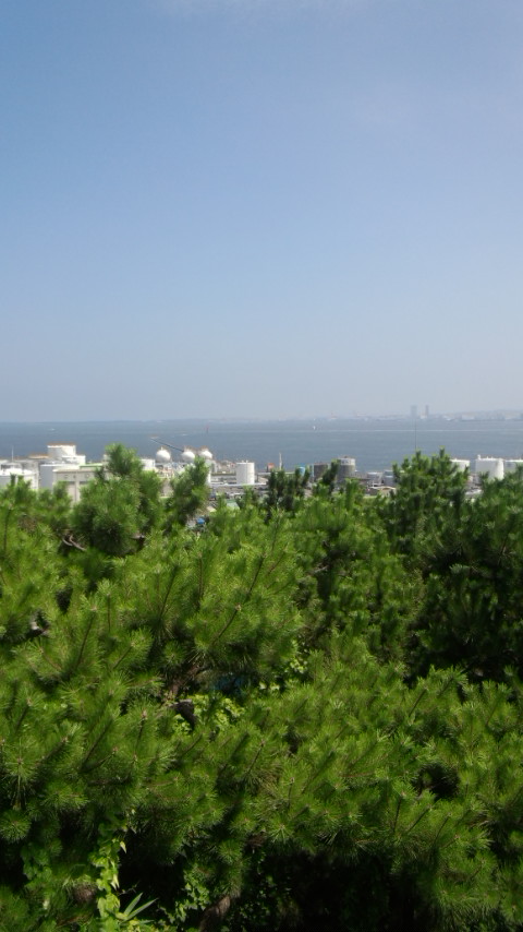 西公園 中央展望広場