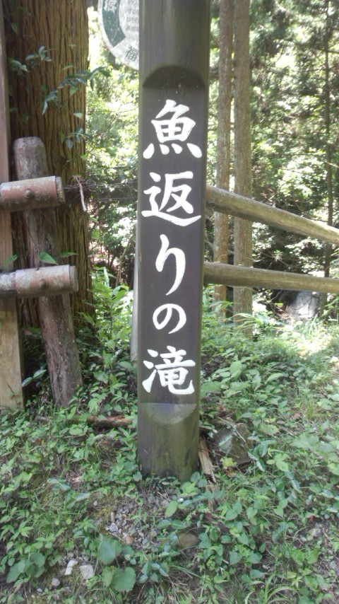 うきは 魚返りの滝