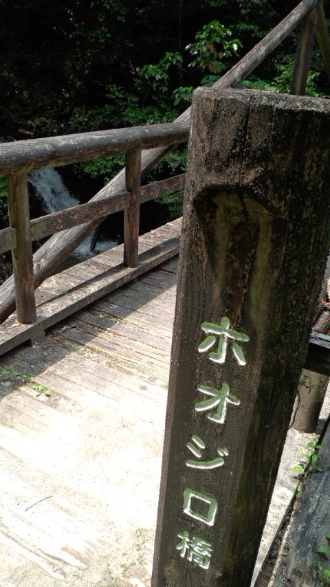 油山 ホオジロ橋