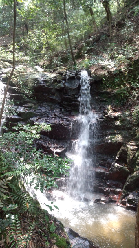 油山 白波の滝