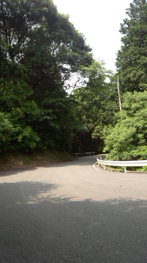 油山 下り坂