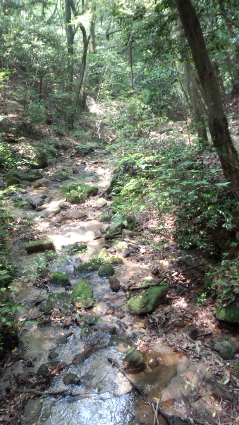 油山 休憩所付近