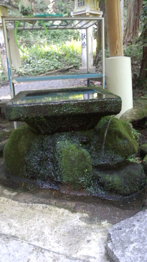飯盛神社 知恵の水