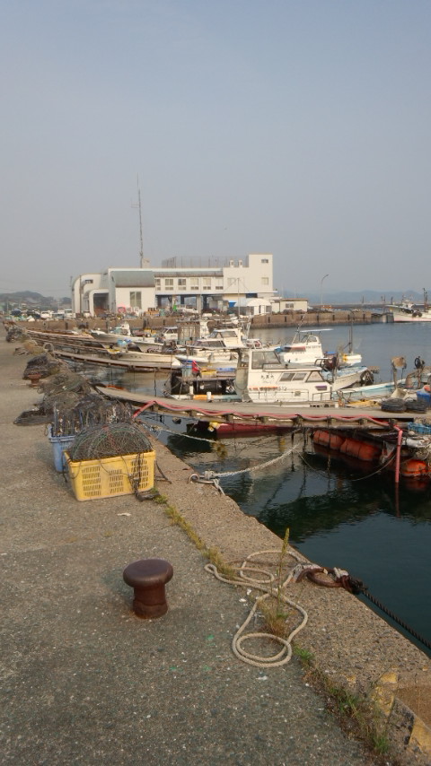 糸島岐志漁港