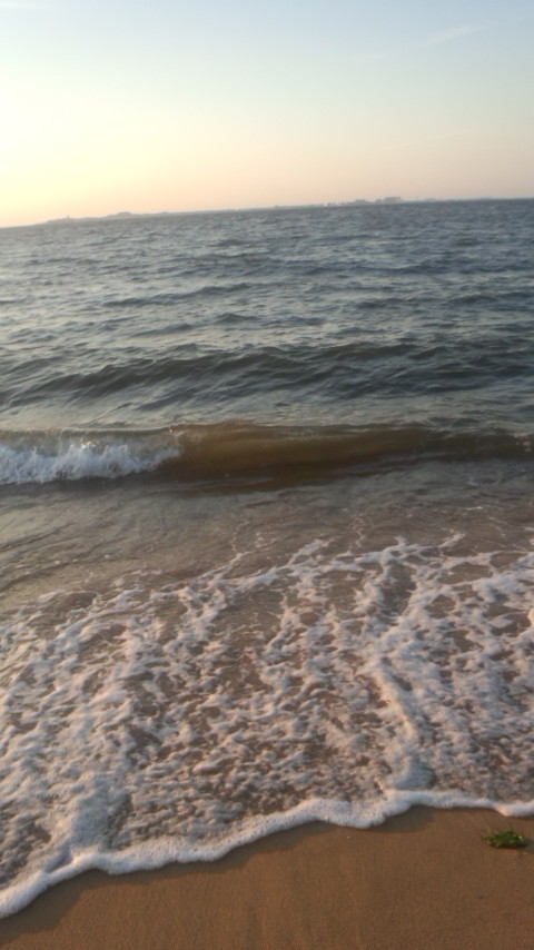 百道浜1