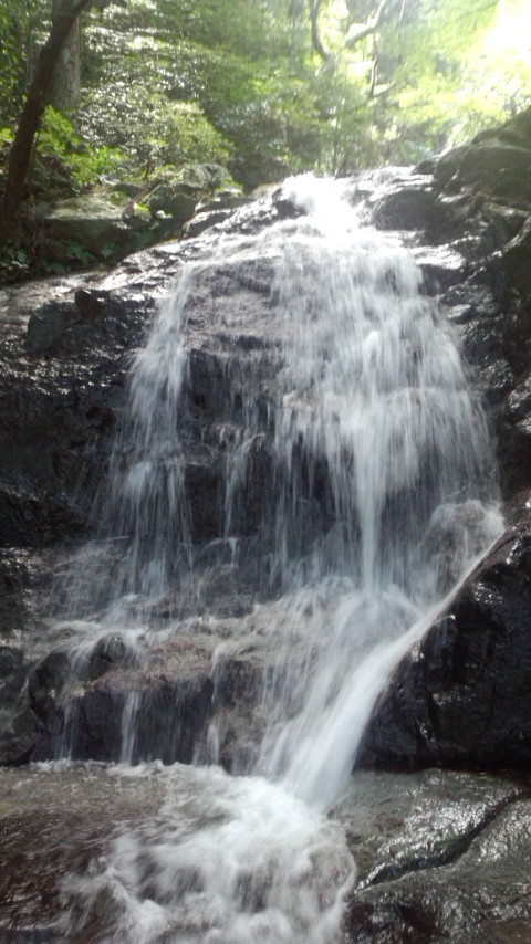 糸島 二丈町 鳴滝 中段1