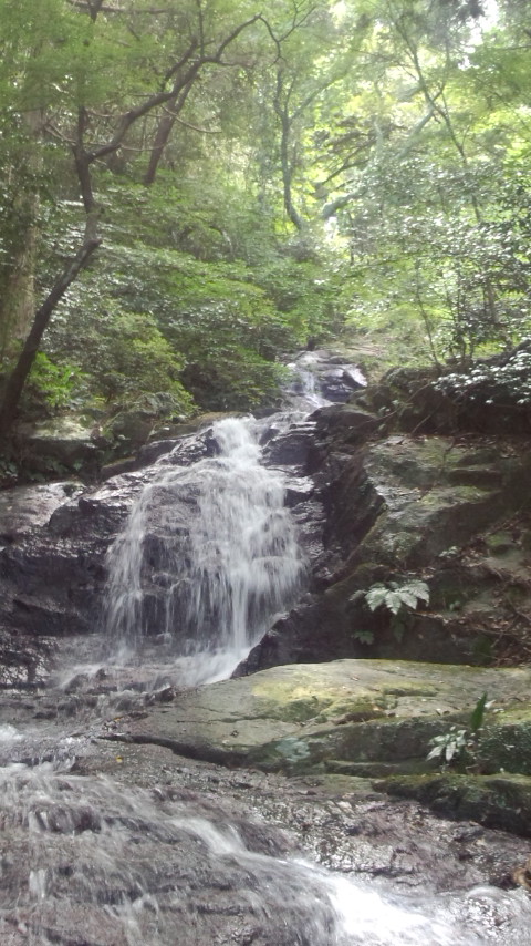 糸島 二丈町 鳴滝 中段2
