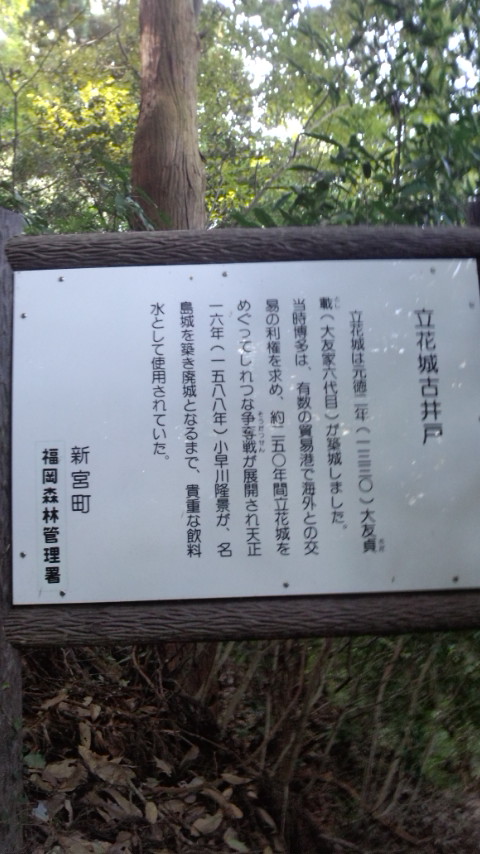 立花山城 古井戸跡