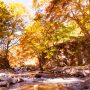 fall_icon fall_icon