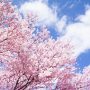 spring_icon spring_icon